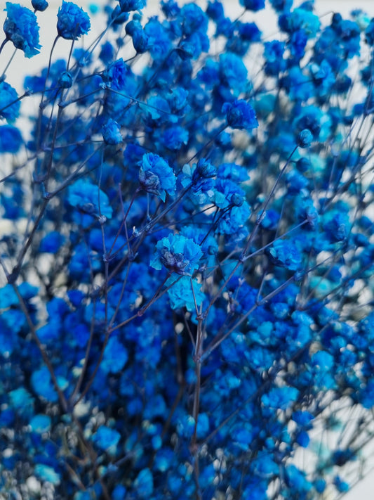 fake babys breath blue