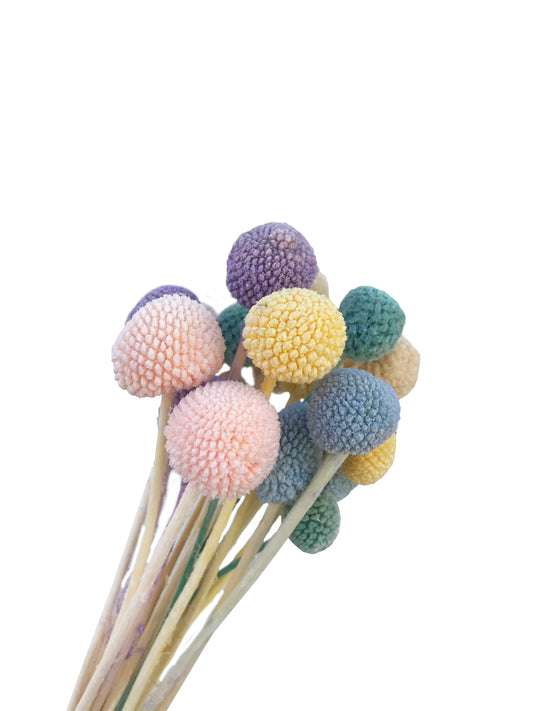 fake billy button assorted pack dried flowers