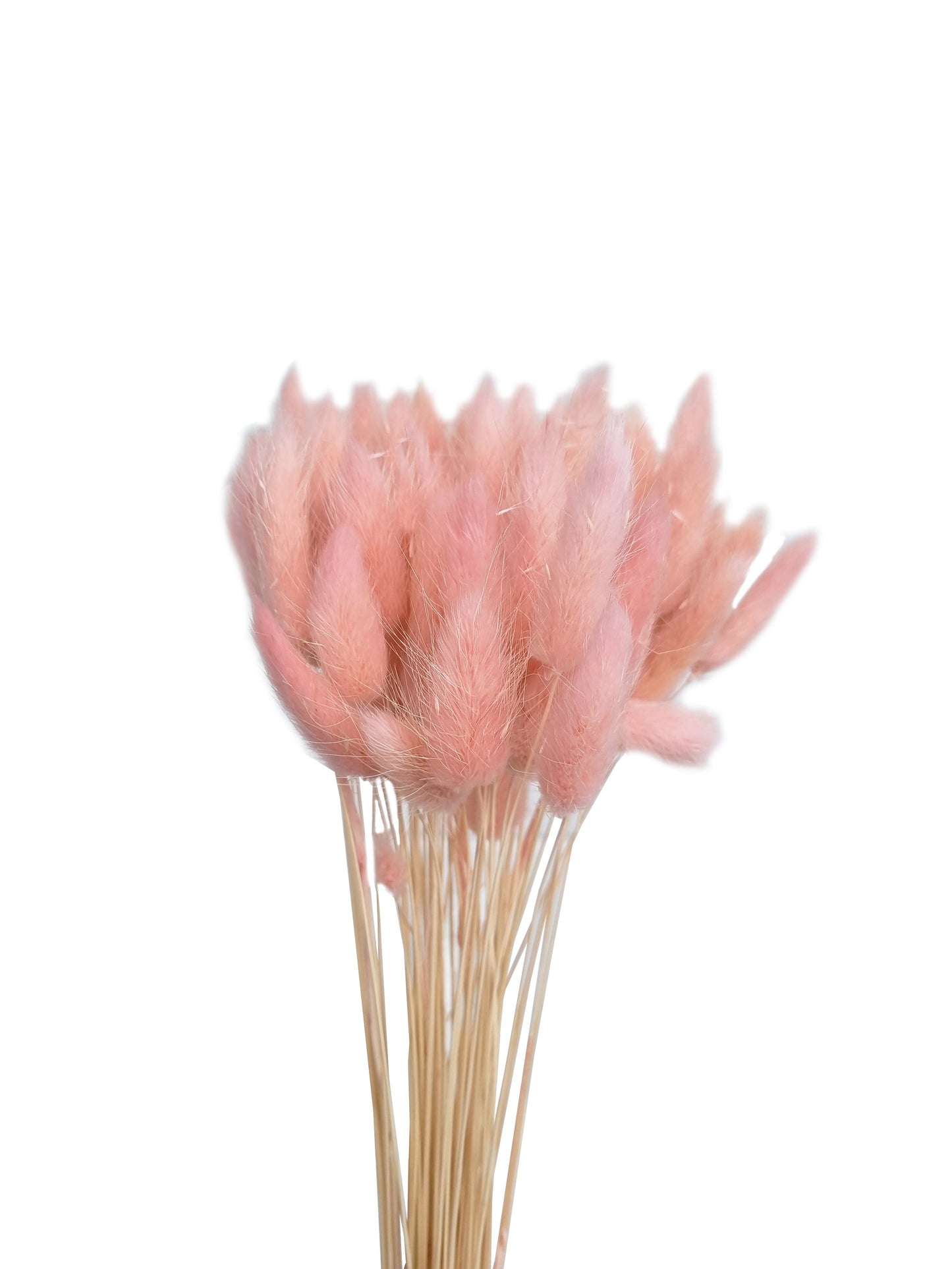 fake bunny tails pink
