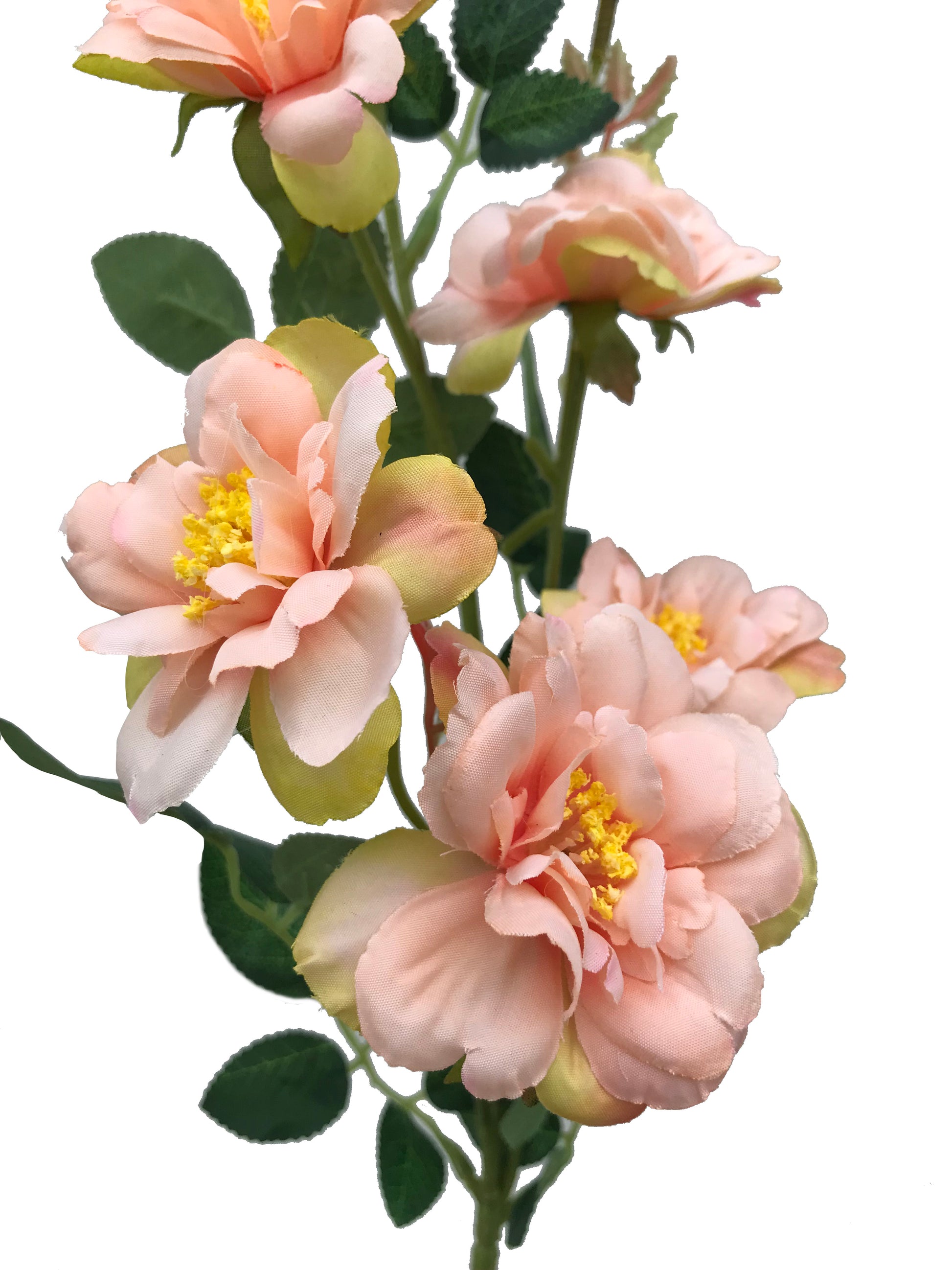 fake camelia peach