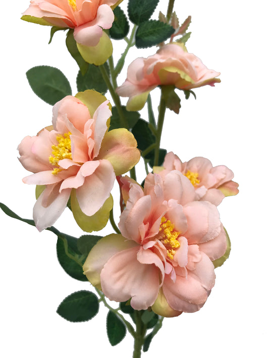 fake camelia peach