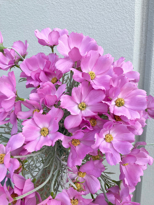 Marguerite Artificielle Spray Rose
