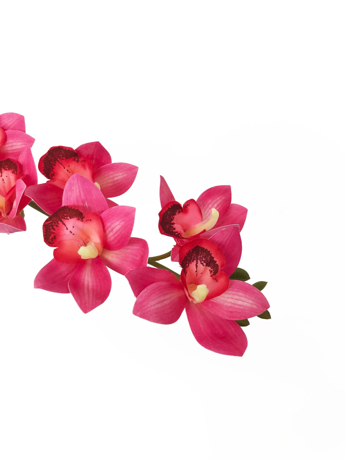 fake cymbidium orchid hot pink