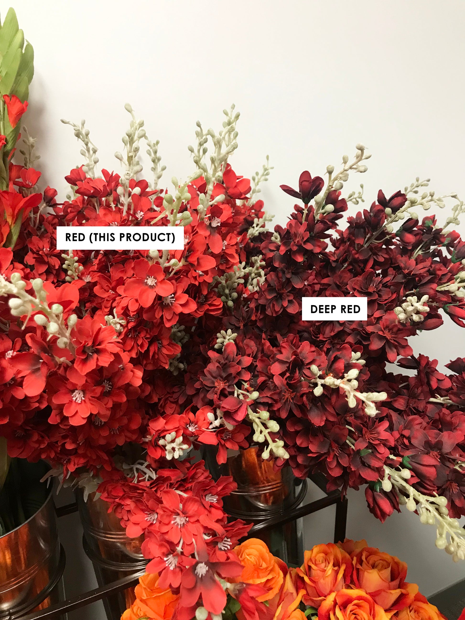 here is the difference between the deep red delphiniums and the normal red ones