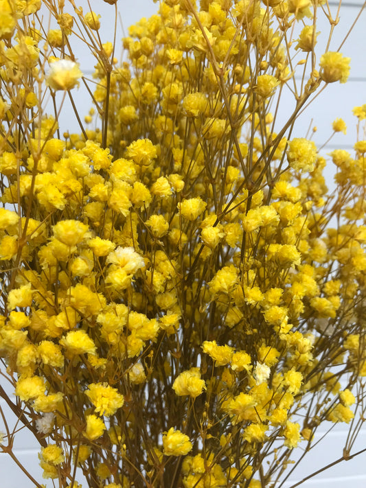 fake dried babys breath yellow