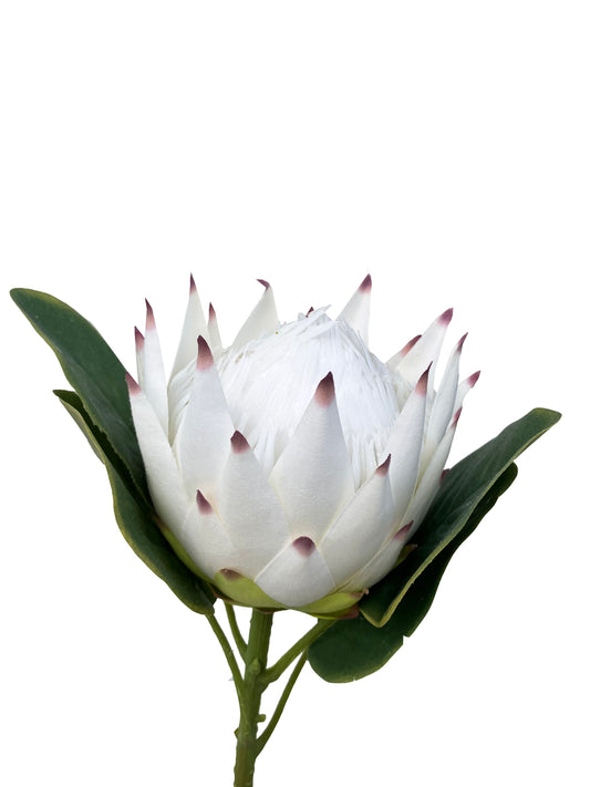 Artificial Protea White