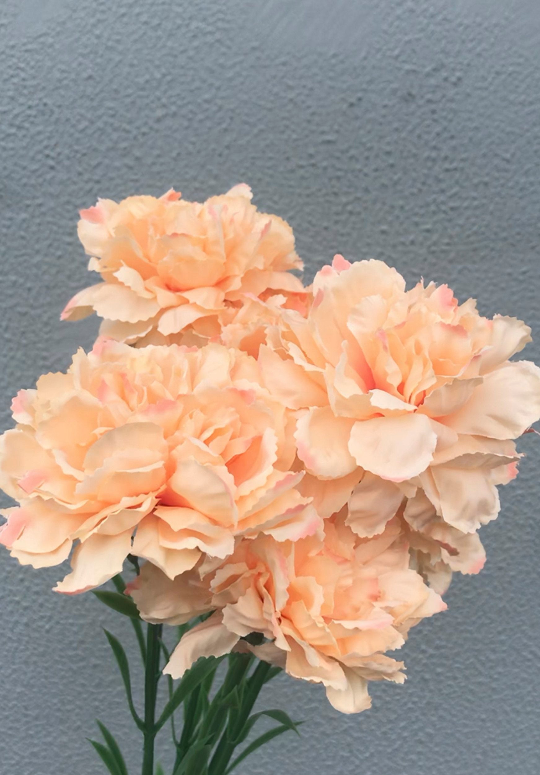 fake peach carnation