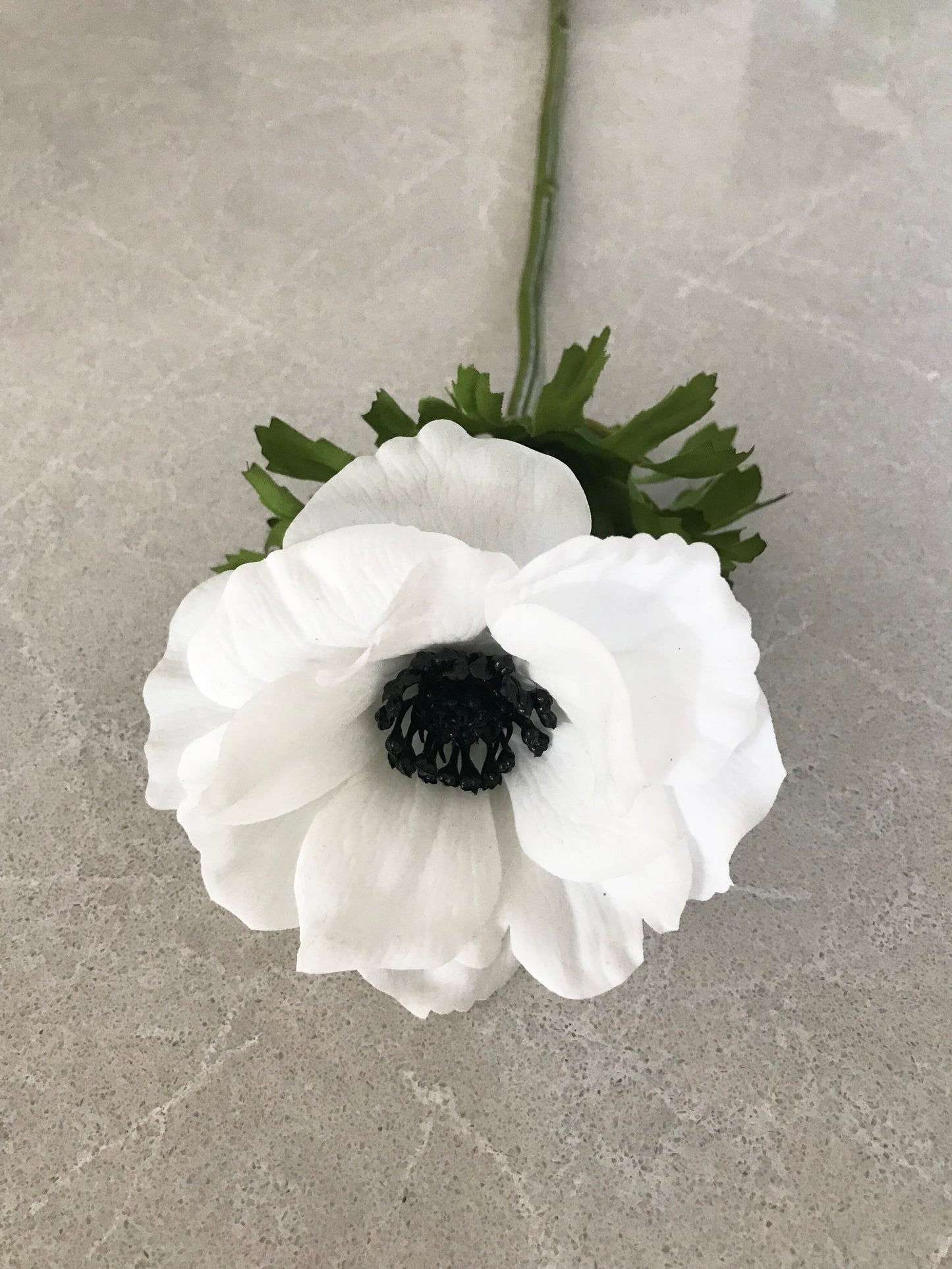 fake real touch anemone white