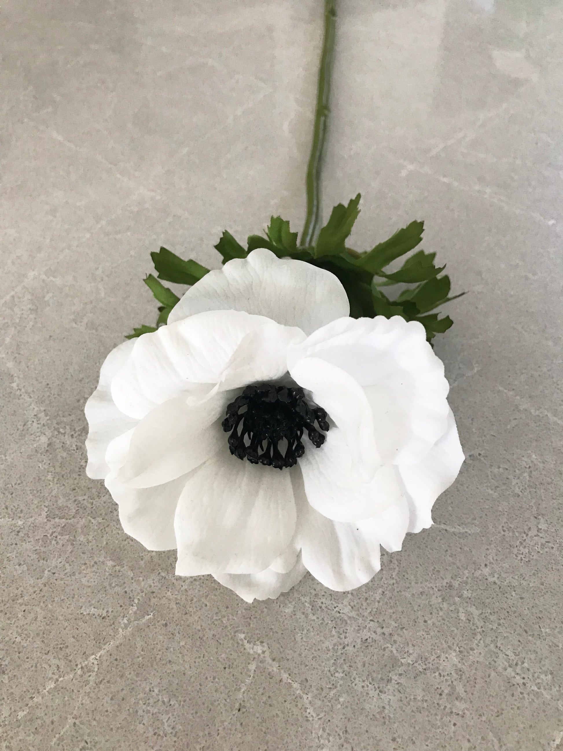 fake real touch anemone white