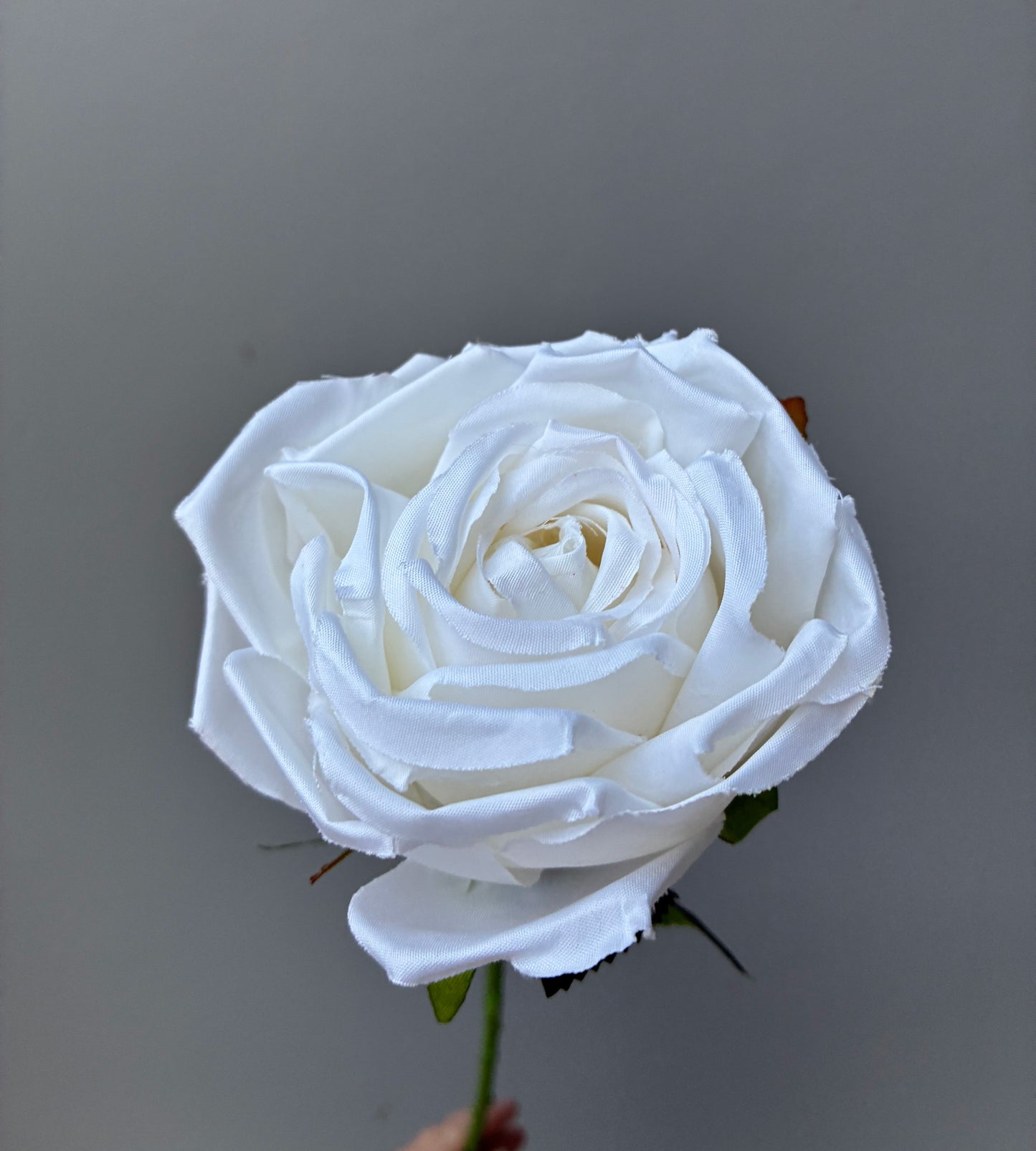 Seda Artificial Aurora Rosa Crema