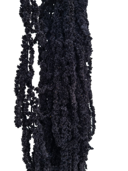 faux amaranthus black