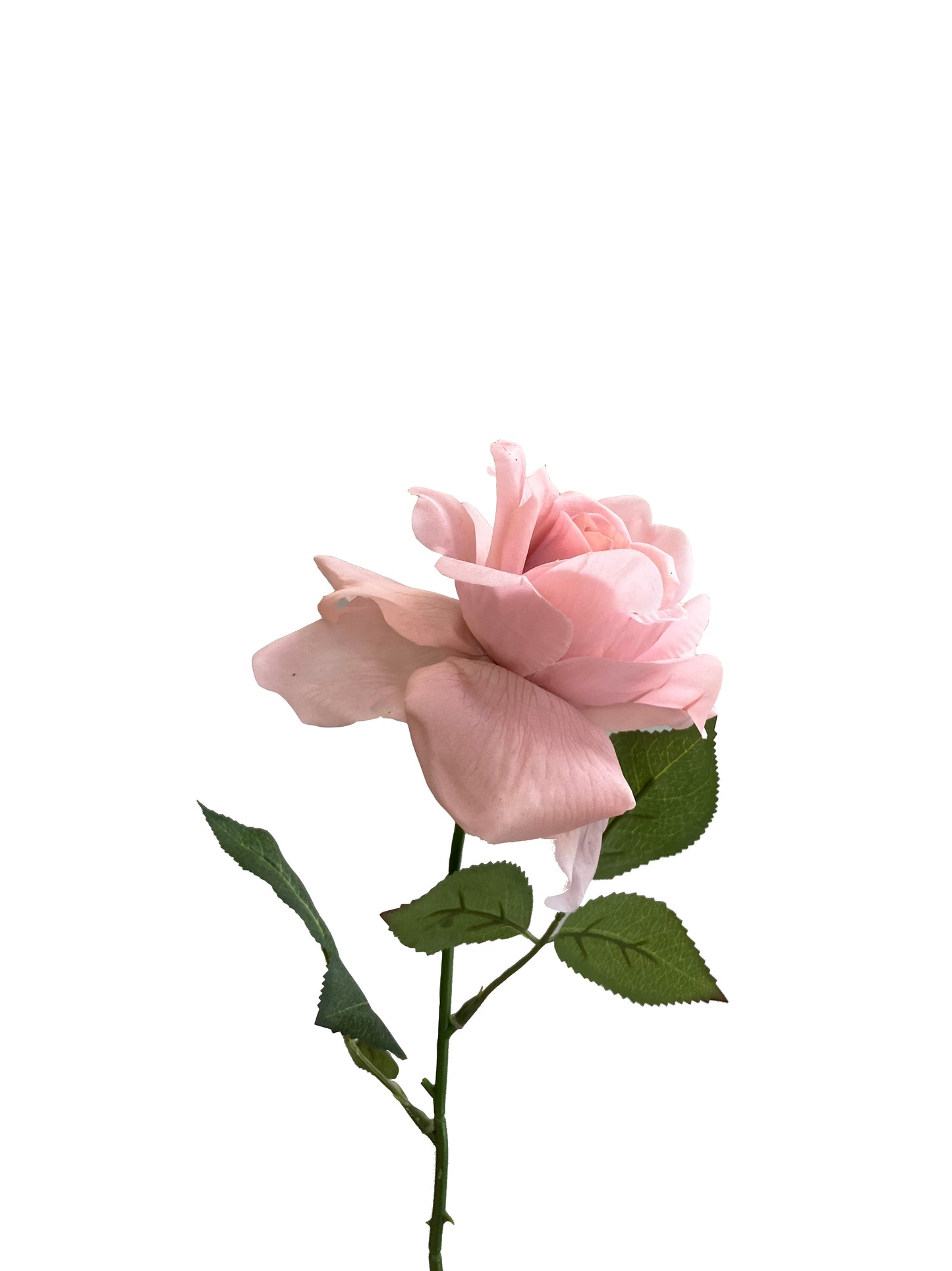 Artificial Real Touch Rose Blush