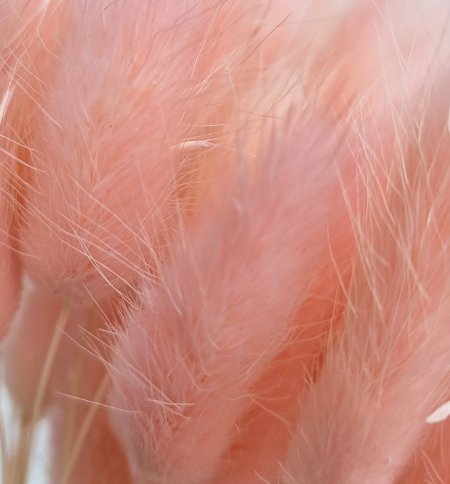 faux bunny tails pink