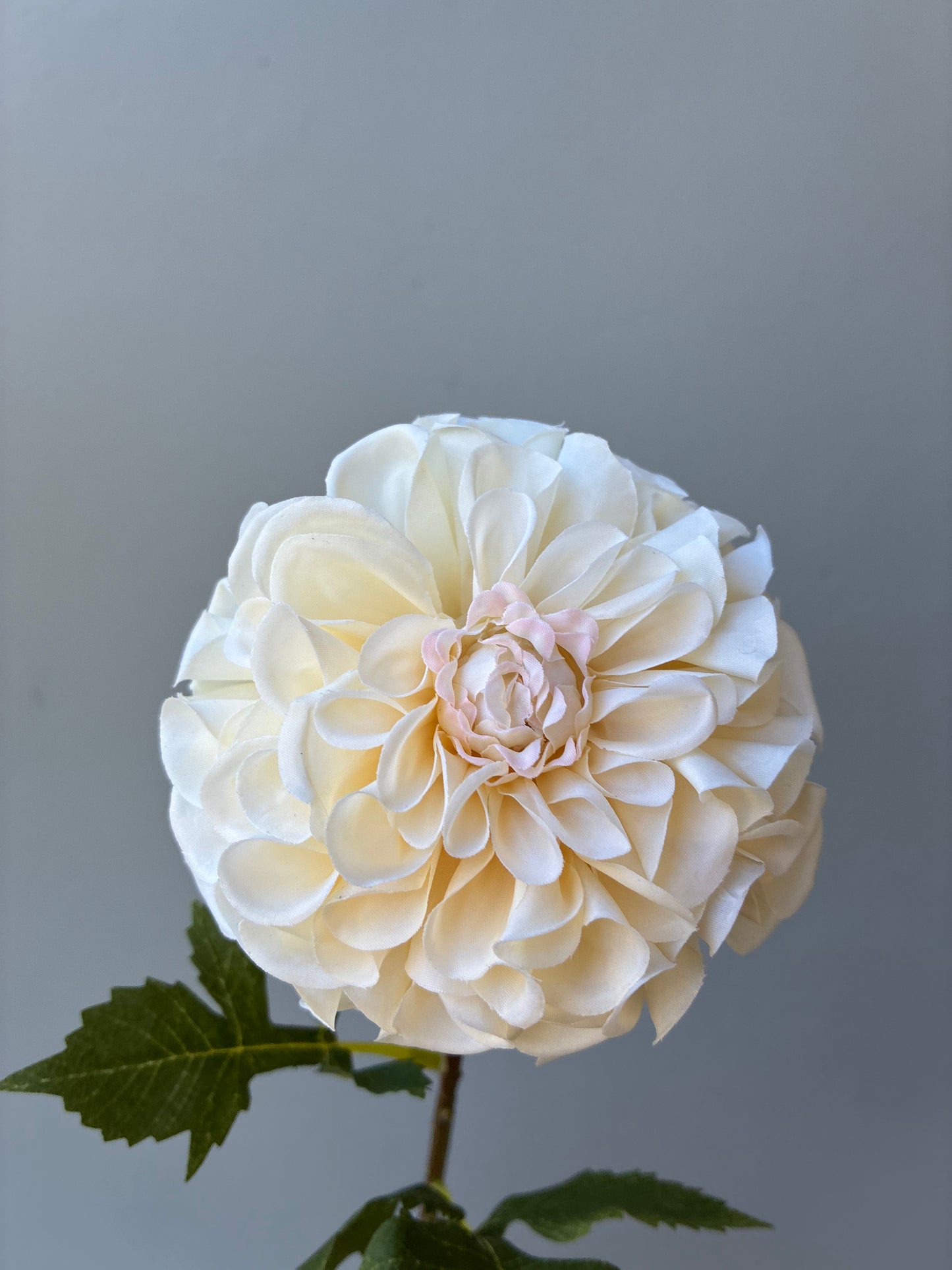 Artificial Real Touch Dahlia Cream