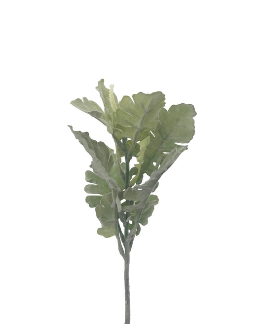 faux dusty miller