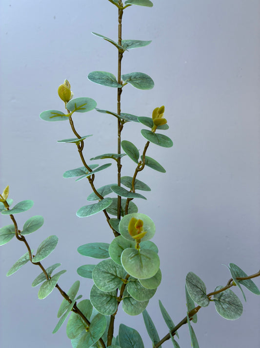 Spray dollar d'eucalyptus artificiel