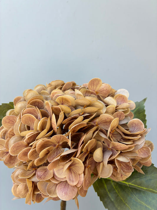 Artificial Real Touch Hydrangea Nude