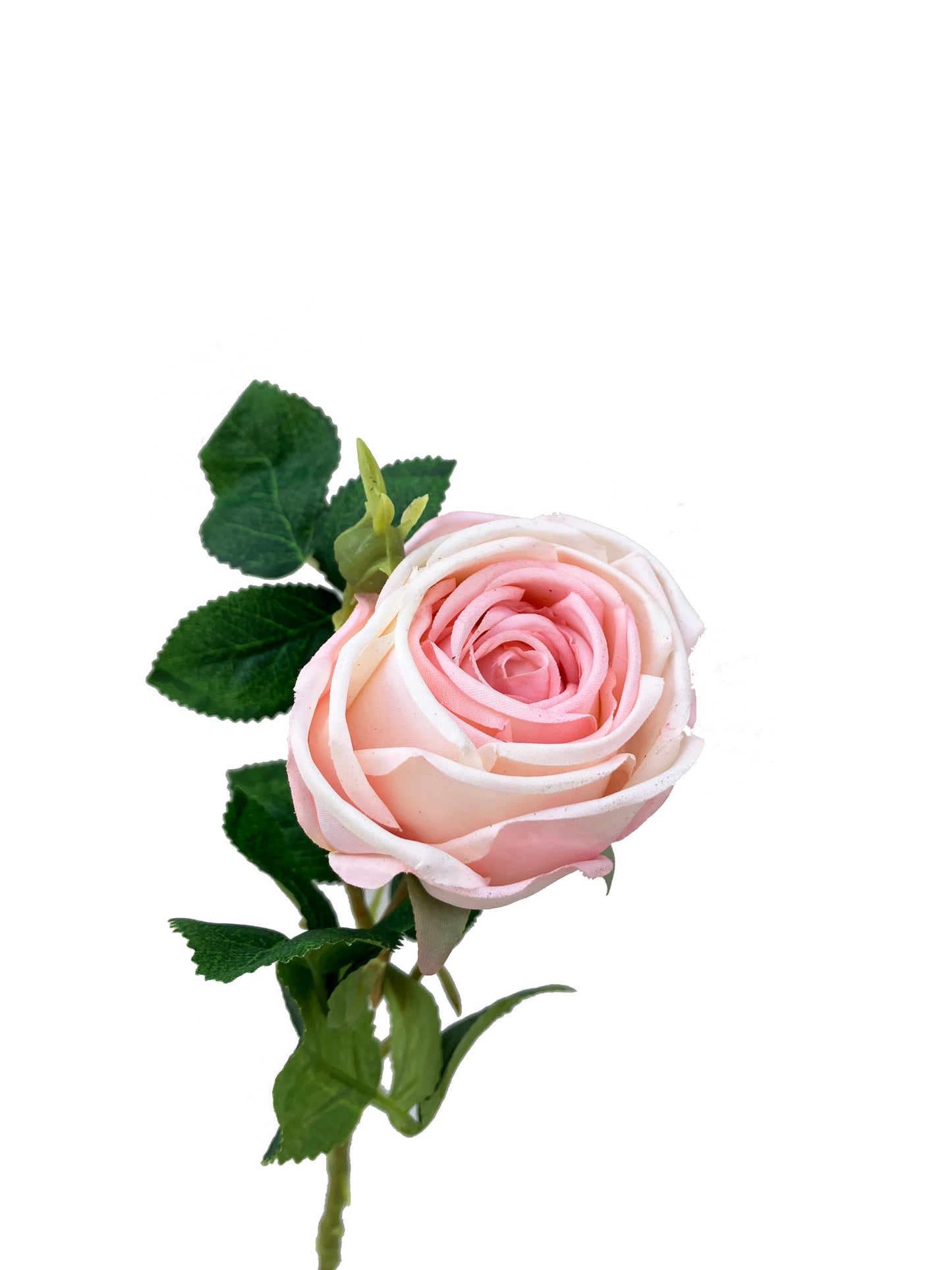 Artificial Silk Aurora Rose Light Pink