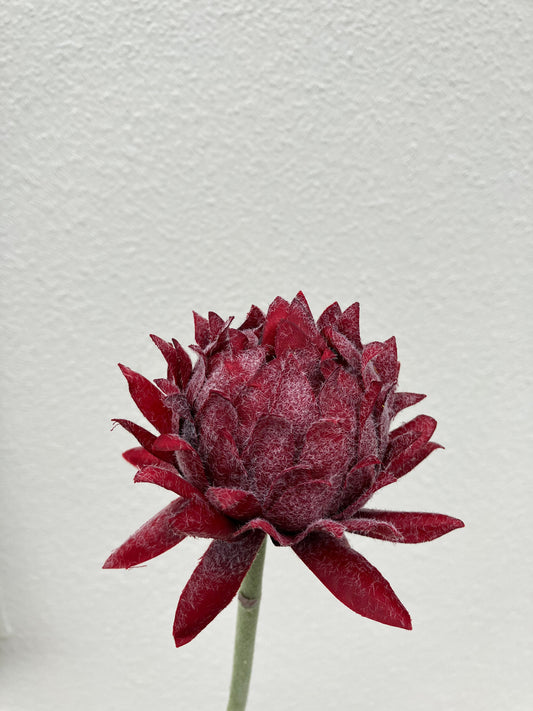 Artificial Protea Red Petite