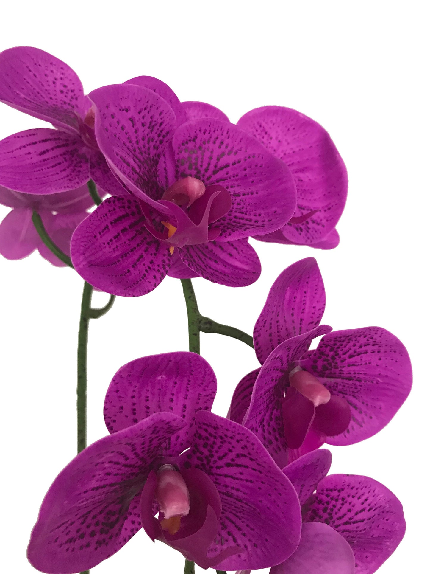 faux purple orchid real touch