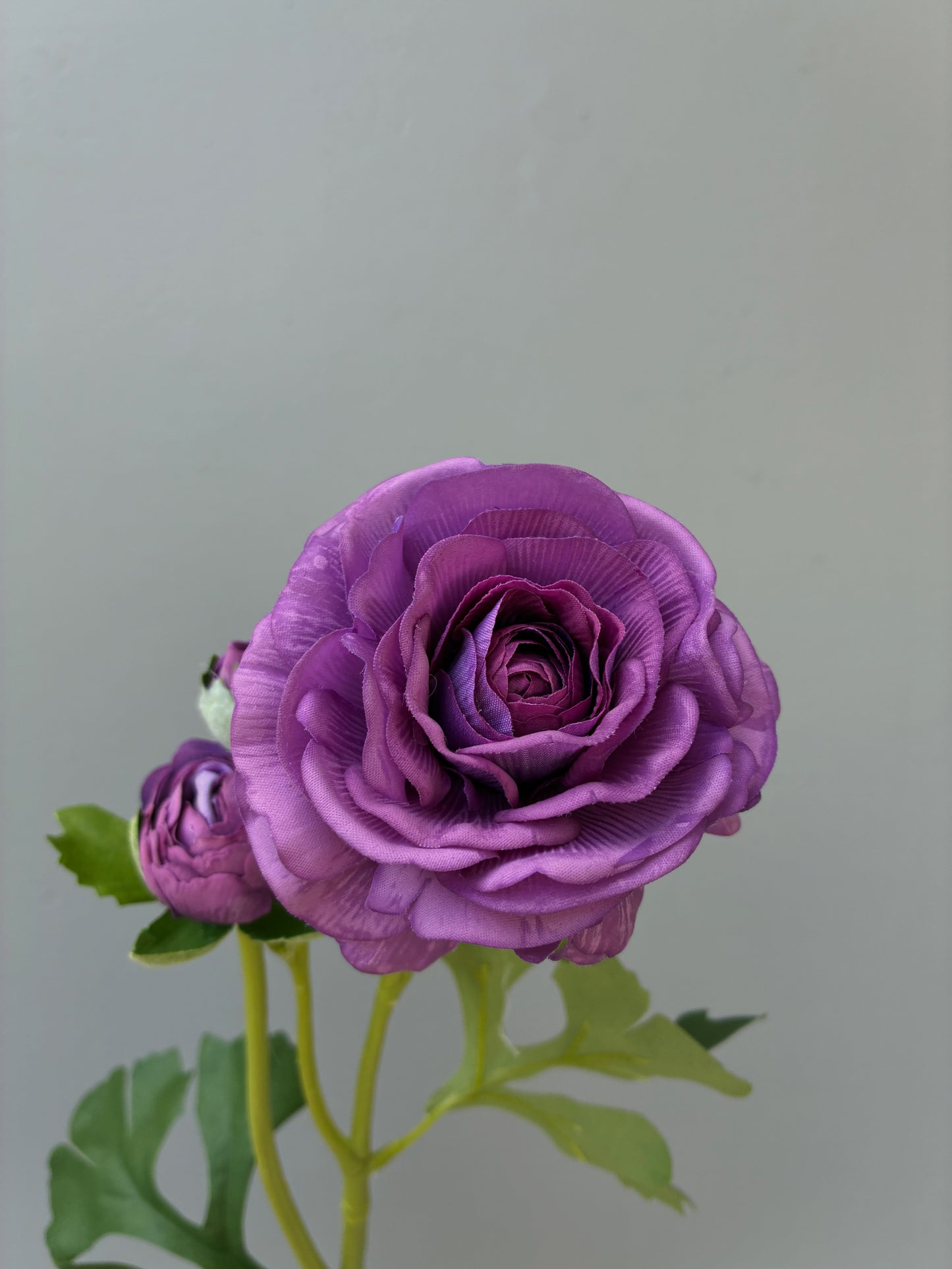 Artificial Real Touch Ranunculus Rose Purple