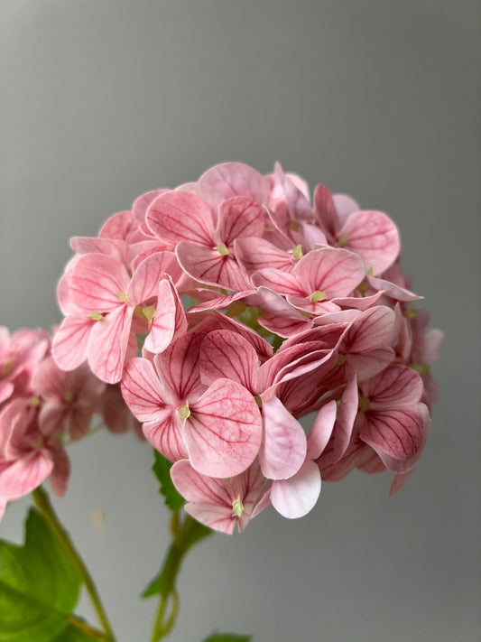 Artificial Real Touch Snow Touch Hydrangea Dusty Pink