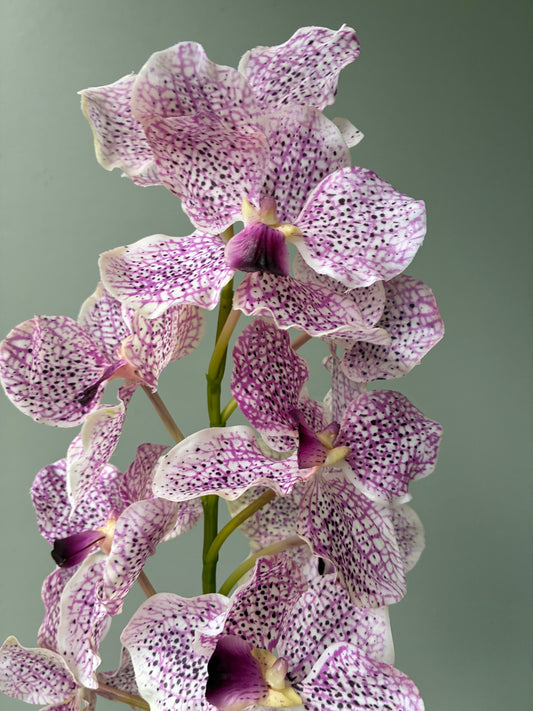 Artificial vanda Real Touch Orchid Lilac Purple