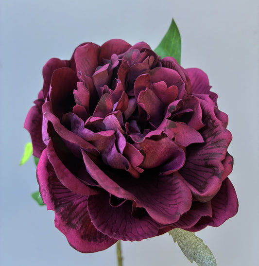 Artificial Real Touch Peony Burgundy