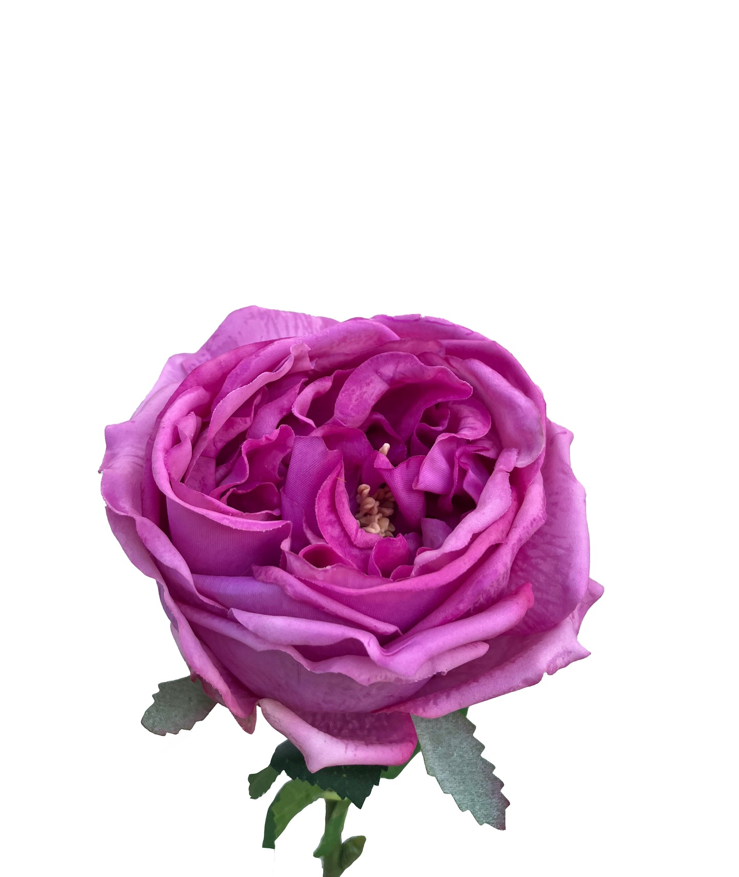 Artificial Real Touch Peony Fuchsia