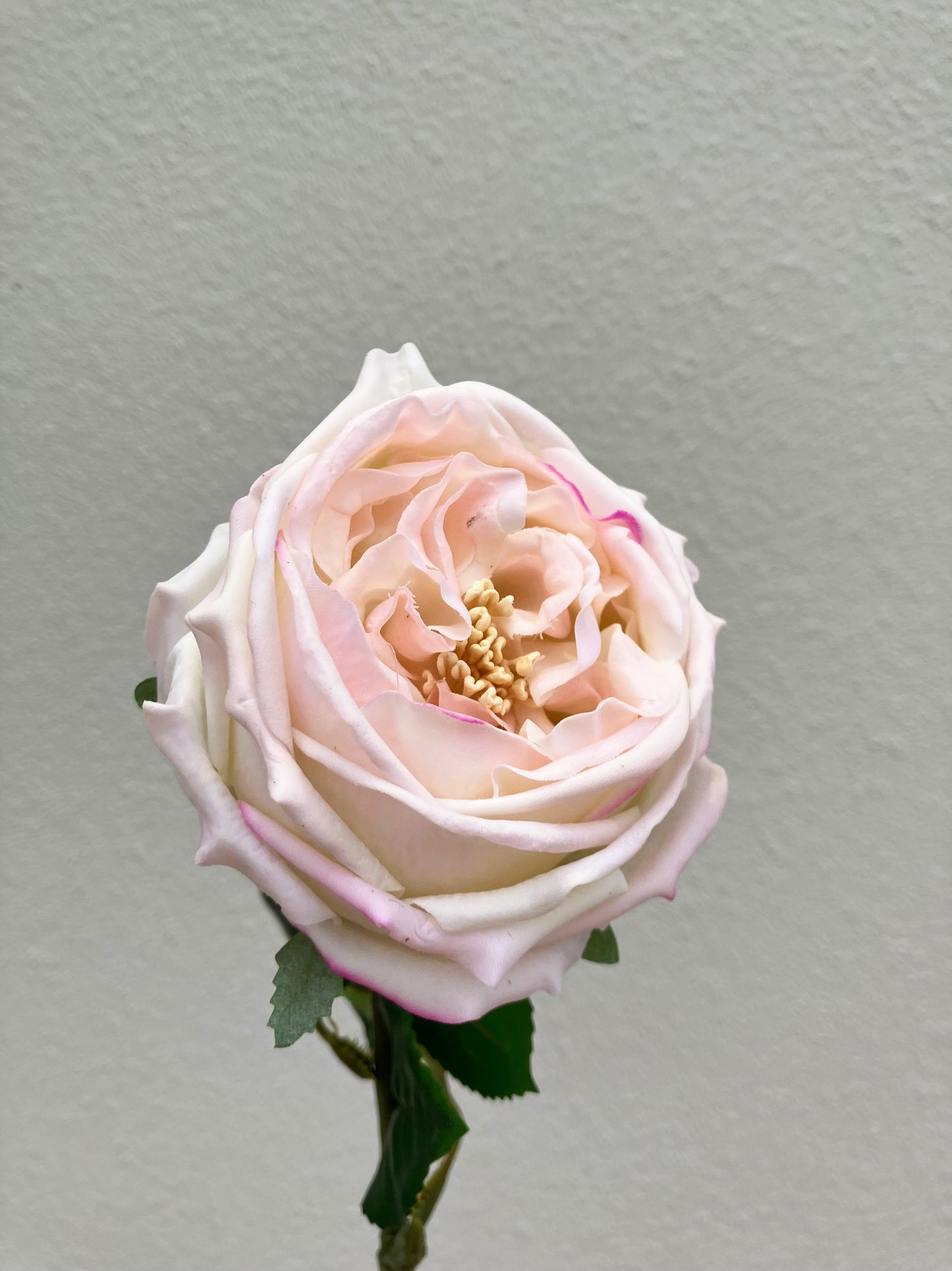 Artificial Real Touch Peony Pale Peach