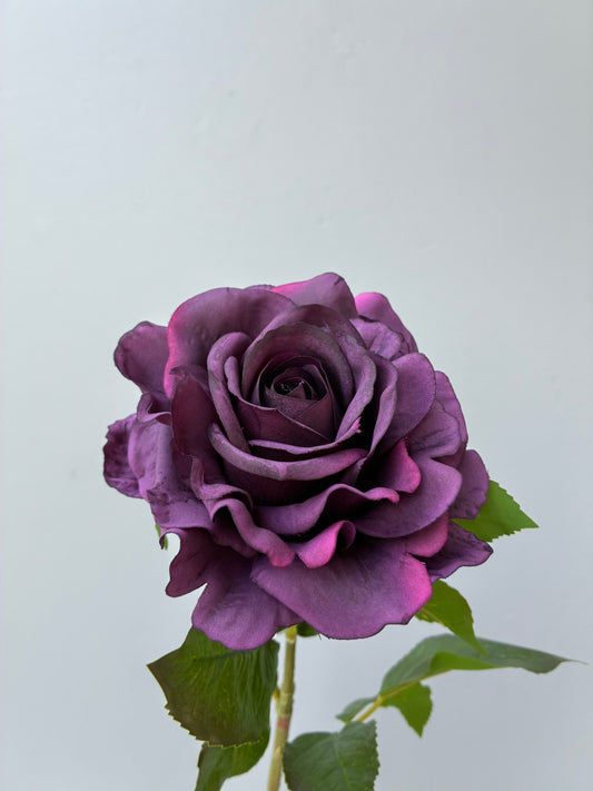 Real Touch Rose Plum