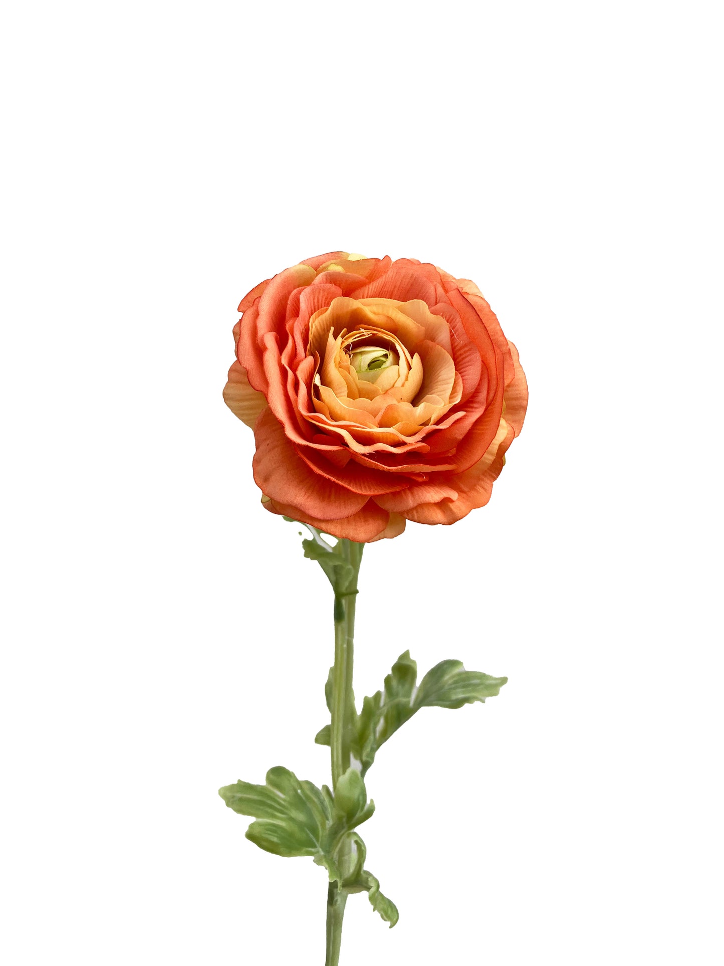 Artificial Real Touch Ranunculus Rose Orange