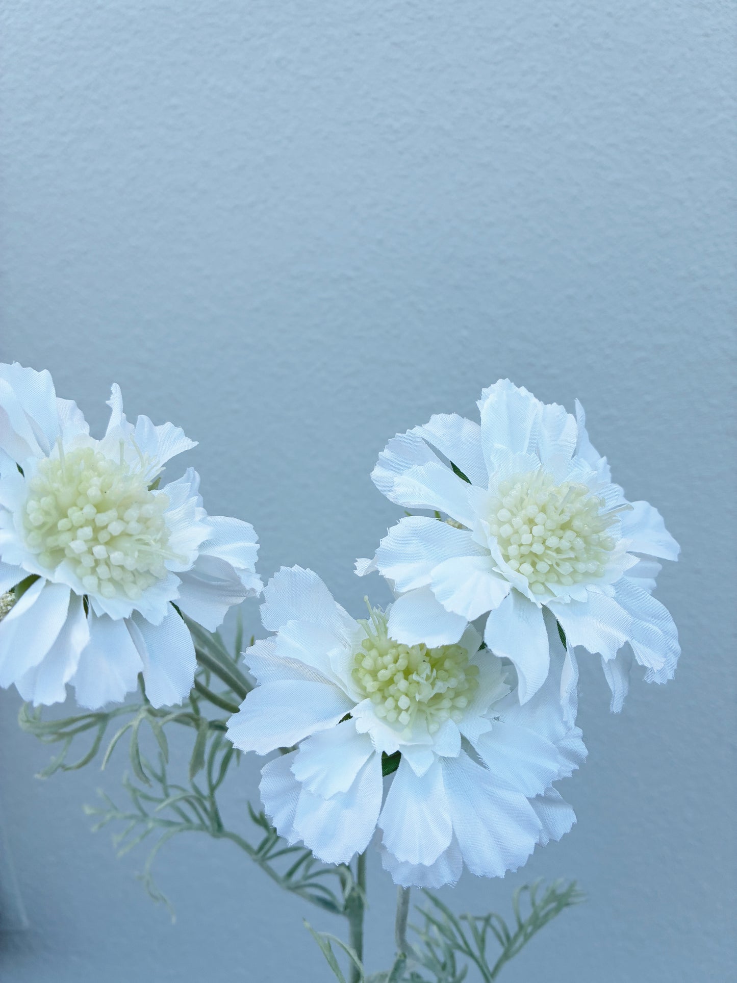 Artificial Scabiosa Spray White