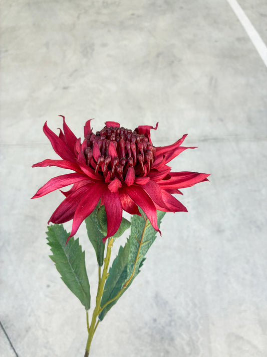 Artificial Waratah Red