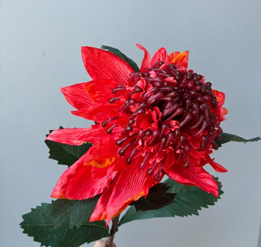 Artificial Waratah Red Style 2