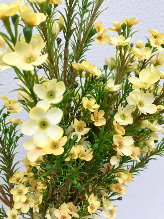Artificial Australian Wax Flower Yellow