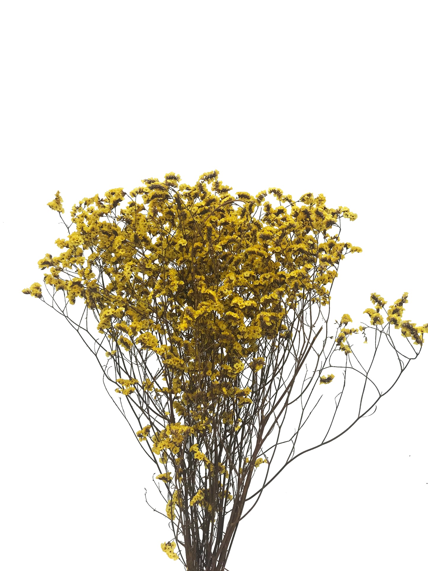 faux yellow crystal grass