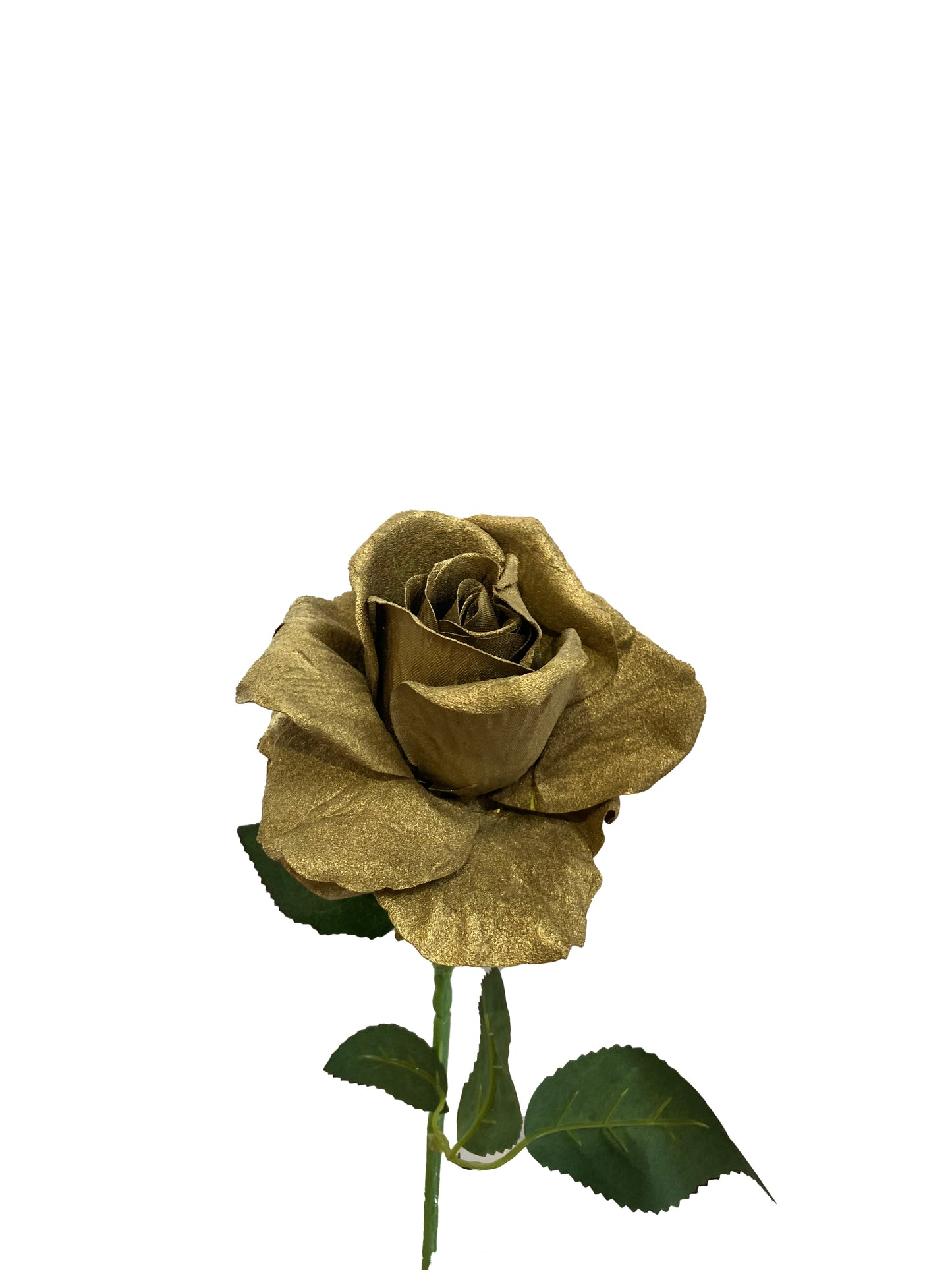 LIQUIDACIÓN DE ROSAS DE ORO