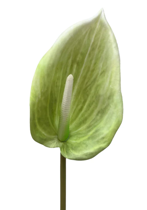 Primavera Pillar Kit