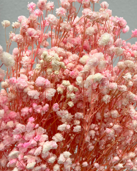 Souffle de bébé séché rose clair