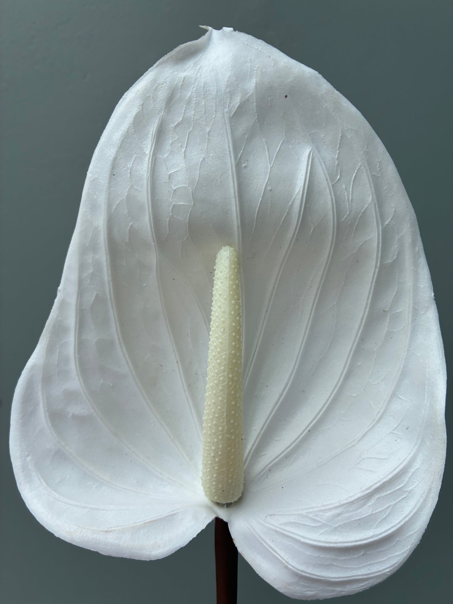 Real Touch Artificial Anthurium White
