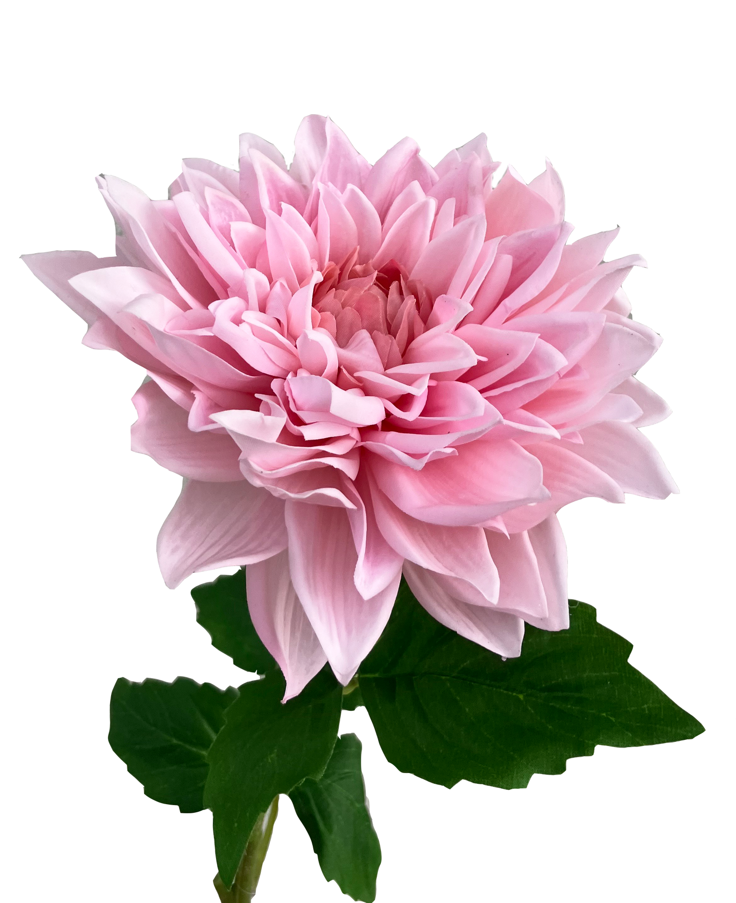 Artificial Dahlia Pink Real Touch Large