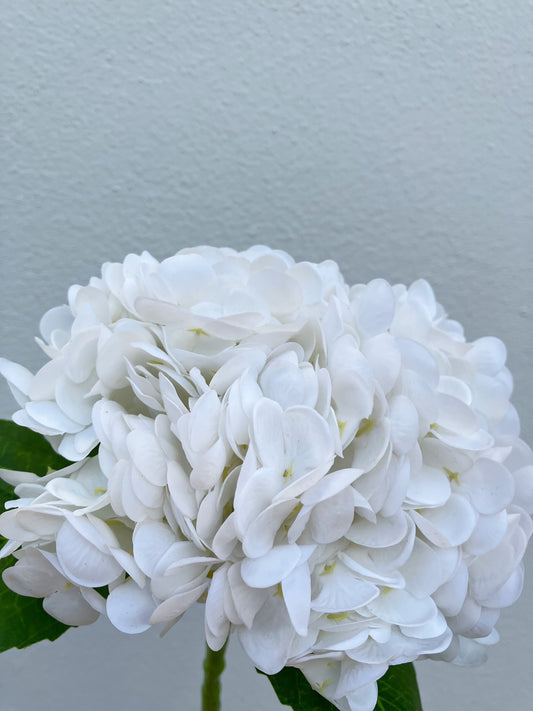 Artificial Real Touch Hydrangea White