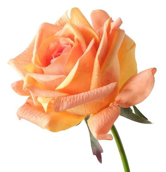 Real Touch Rose Soft Orange Petite