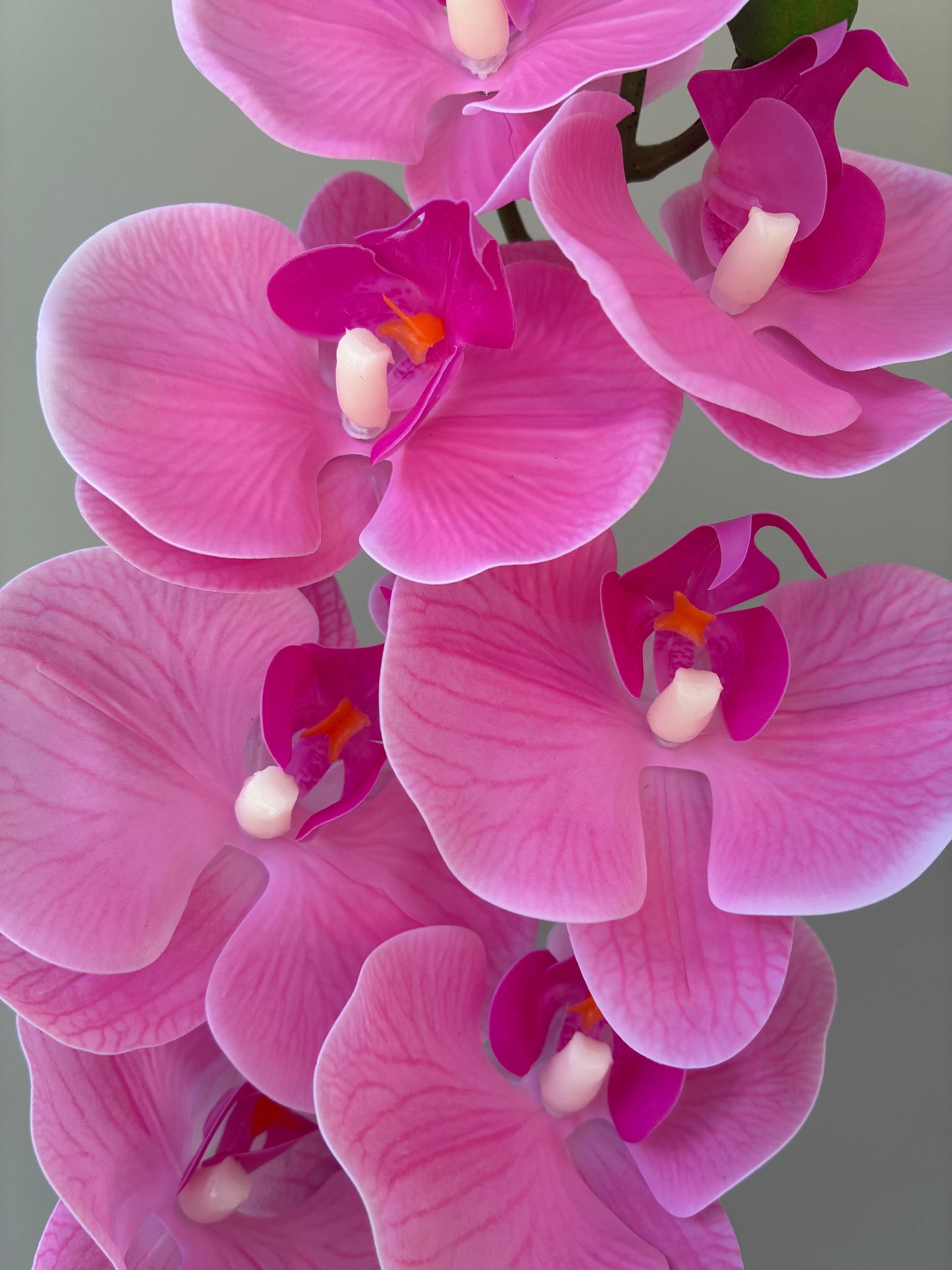 Orquídea Artificial Real Touch Rosa Fuerte