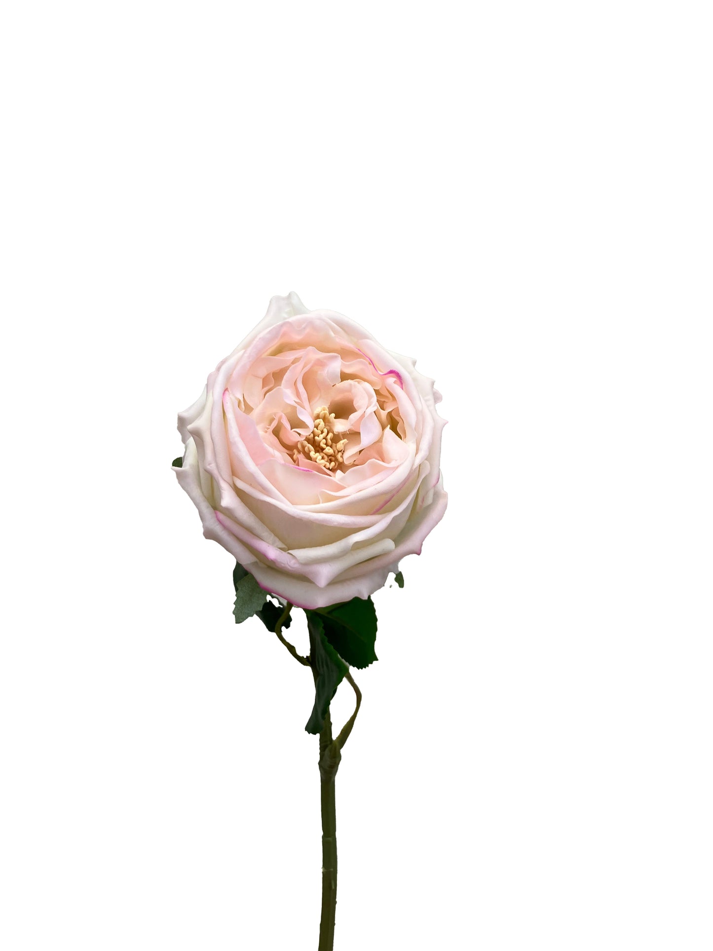 Artificial Real Touch Peony Pale Peach