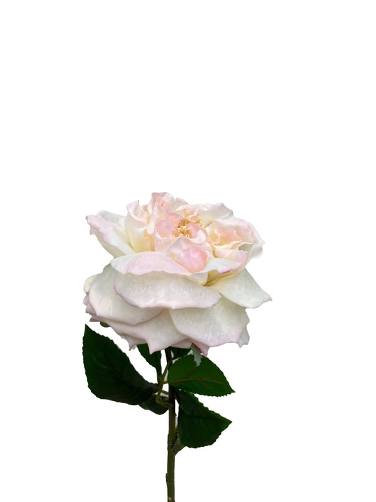 Artificial Real Touch Peony Pale Peach