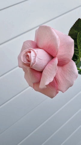 This classic rose is a reflexing rose, artificial flowers australia wide wedding flowers delivery, wedding flowers gold coast