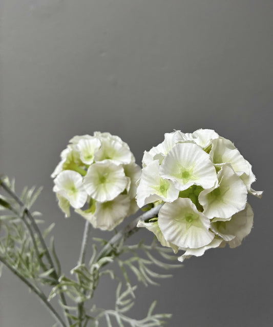 Artificial Scabiosa Pods White