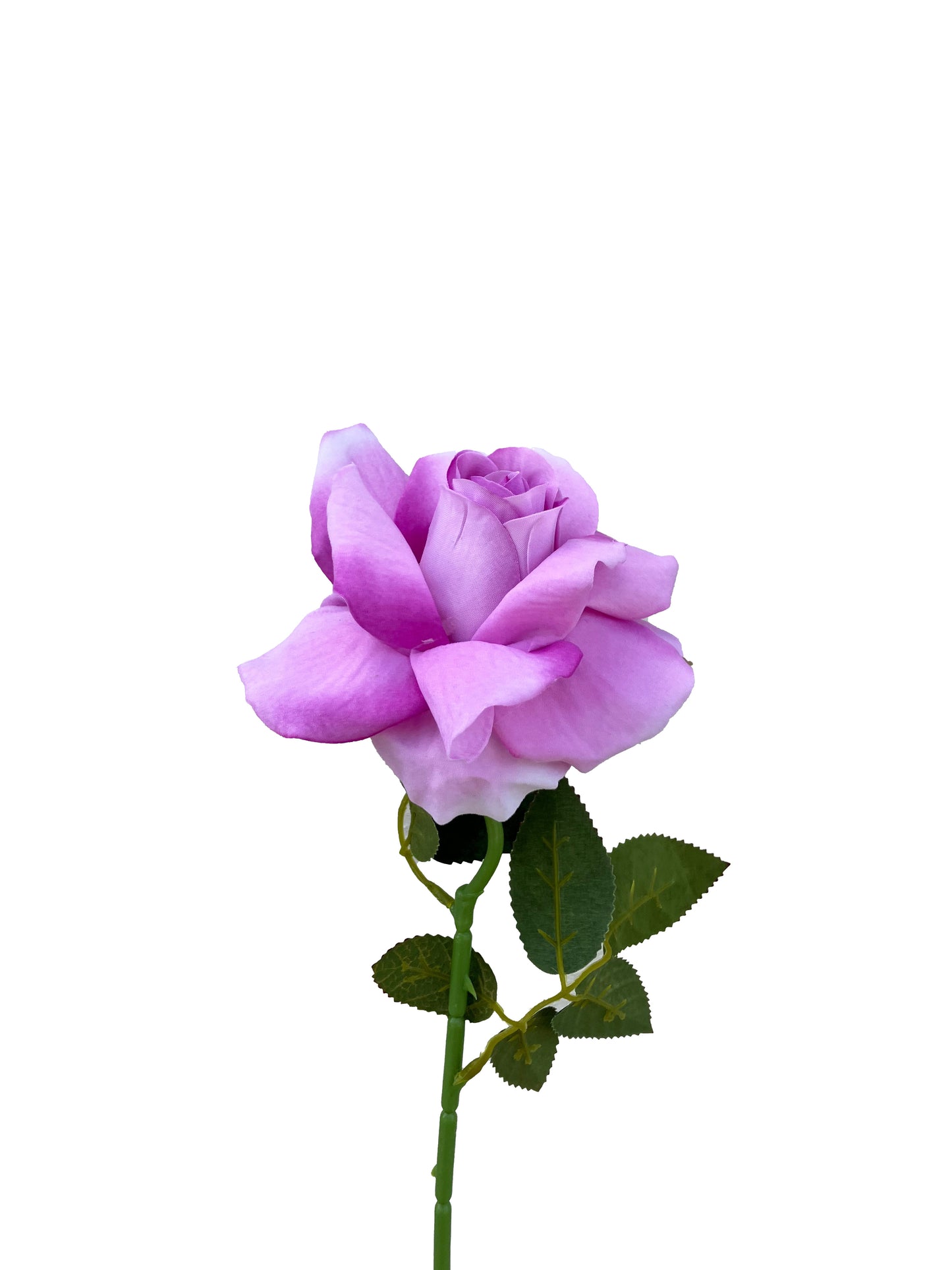 Le charisme classique de la rose artificielle